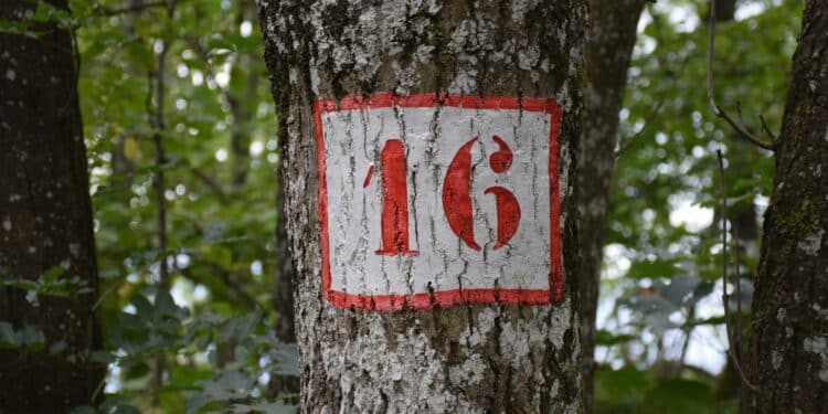 1616 Betekenis: Wat betekent dit Engelen getal? 1 16 16 betekenis