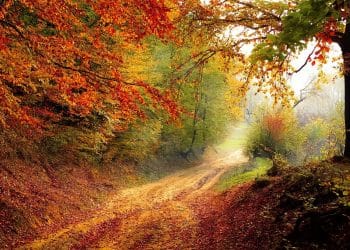 Maak je huis herfstproof met deze tips