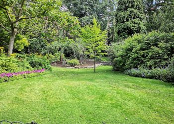 Wat maakt een tuin duurzaam