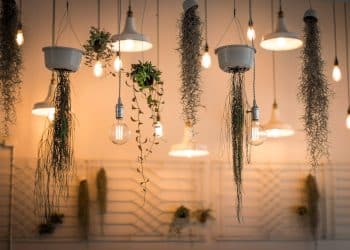 De verschillende accessoires voor LED Verlichting