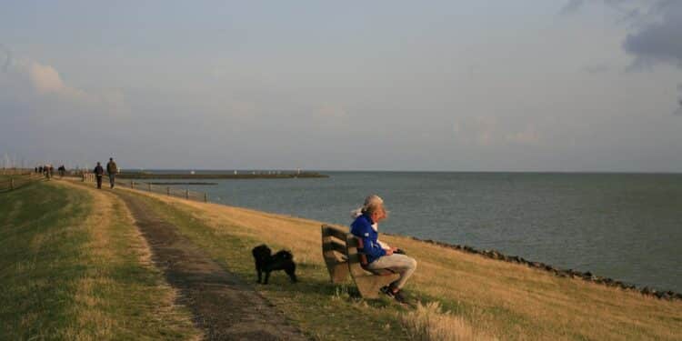Ontdek de verborgen schatten van Sdwest Frysln