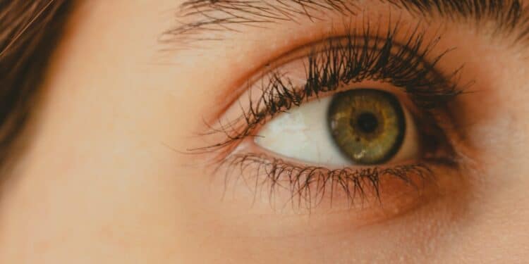 Thuis wimpers zetten? Zo doe je dat 1 Thuis wimpers zetten Zo doe je dat