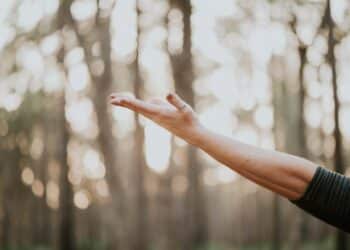 Ontdek Natuurlijke Wellness Uw Startgids voor een Gezonder Leven