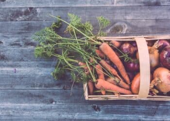 Hoe kun je gezond en duurzaam eten? 5 Hoe kun je gezond en duurzaam eten