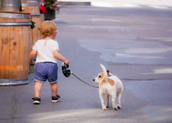Waarom is het voor kinderen zo leuk om met een hond op te groeien