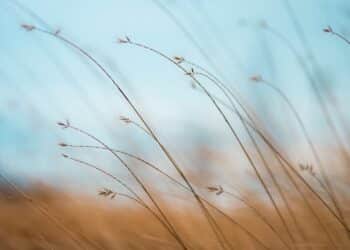 Waarvoor kan ik terecht in een afkickkliniek
