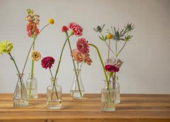 pablo merchan montes tu2rlT7Z5Wo unsplash