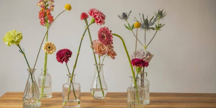 pablo merchan montes tu2rlT7Z5Wo unsplash