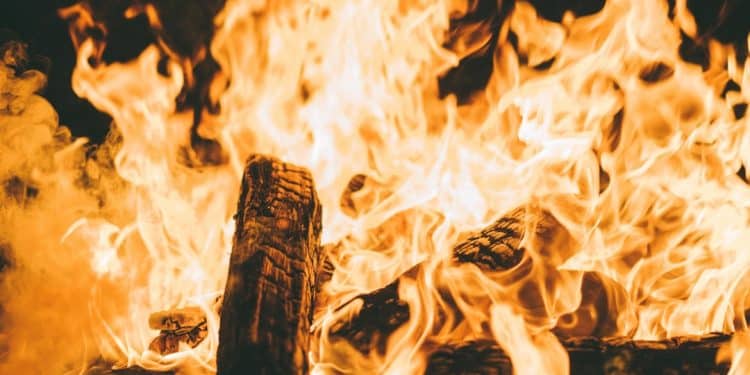 Brandhout of briketten: wat stookt het beste en waarom? 1 Brandhout of briketten wat stookt het beste en waarom