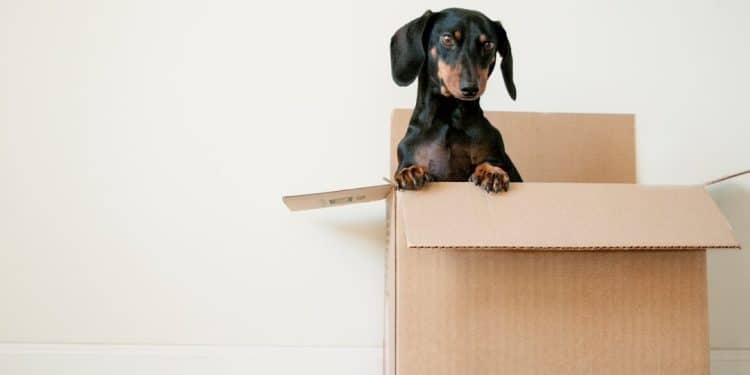 De beste verhuistips voor een voorspoedige verhuizing! 1 De beste verhuistips voor een voorspoedige verhuizing
