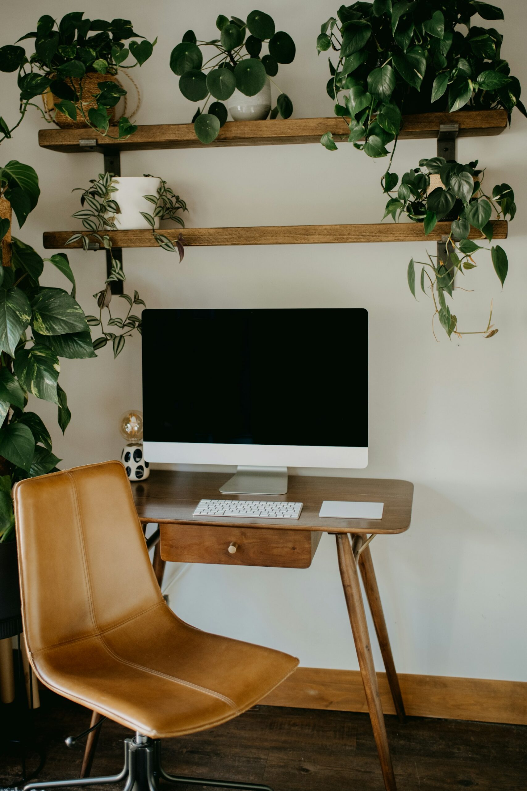 Hoe planten bijdragen aan een inspirerende werkplek 1 annie spratt w xtsVmrsAU unsplash scaled