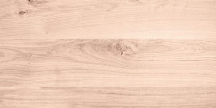 simon berger JH R66BihvA unsplash