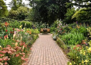 photo 1580600301354 0ce8faef576c