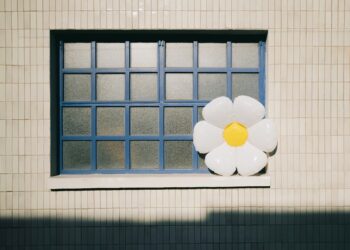 antonio verdin kgv6pltB0Y0 unsplash