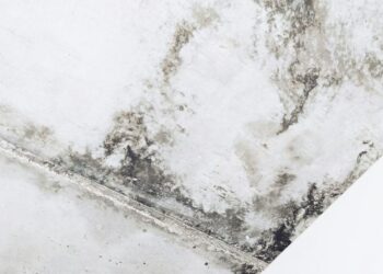 photo 1579830780149 0a7a0d8114ea 1