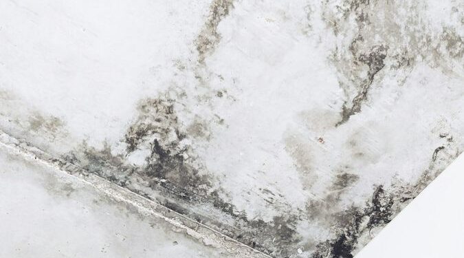 photo 1579830780149 0a7a0d8114ea 1