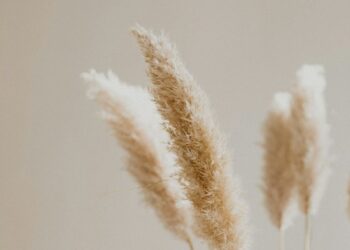 Is beige over zijn hoogtepunt heen? En wat wordt de volgende kleurtrend? 5 photo 1570451488142 71d08e1511e3