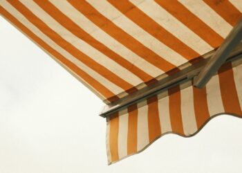 photo 1668934807762 6316c2773b39