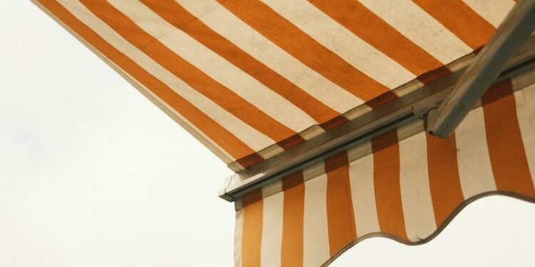 photo 1668934807762 6316c2773b39