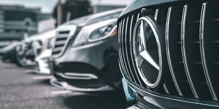 photo 1679611890962 8eb796b6ff4e