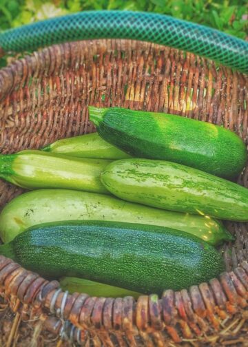 Home 12 photo 1563252722 6434563a985d