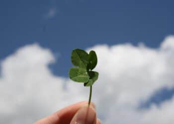 Hoe toeval de kern van de online entertainmentcultuur werd 2 photo 1621773087537 e709119efa94