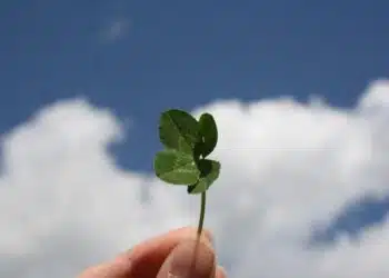 Hoe toeval de kern van de online entertainmentcultuur werd 2 photo 1621773087537 e709119efa94