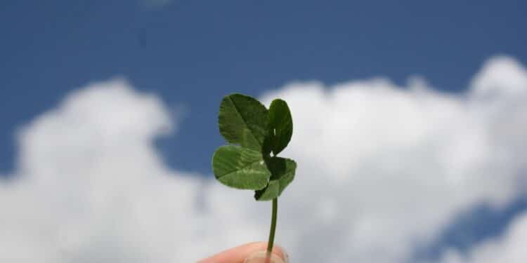 photo 1621773087537 e709119efa94