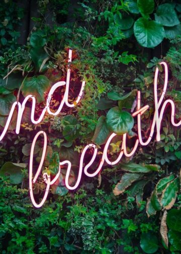 Home 16 photo 1524901548305 08eeddc35080