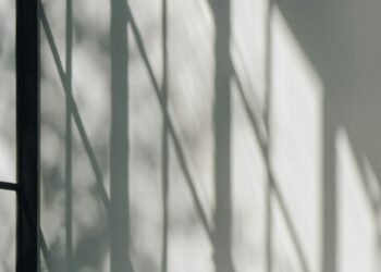 photo 1583329550487 0fa300a4cd1a