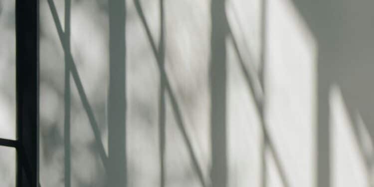 photo 1583329550487 0fa300a4cd1a