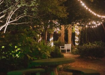 photo 1604601638534 8cc3198794e2