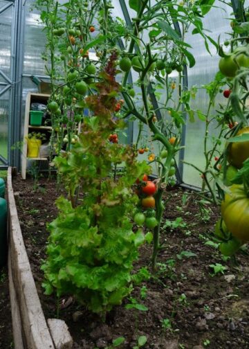 Home 13 photo 1678025546757 666c1f397c2d